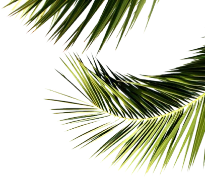 Sobha Sector 1, Greater Noida leaves image